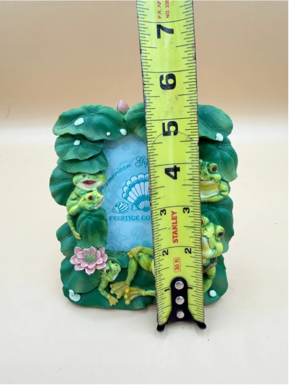 American Gift Corp Prestige Collection Biloxi Beach Frog Lily Pad Photo Frame